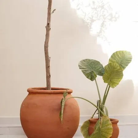 Garden By Holistay Tirana