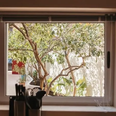 Apartamento Garden By Holistay Tirana